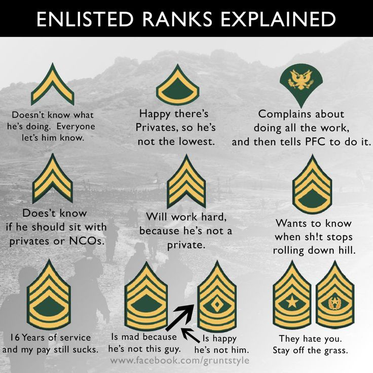 Army Chart Rank